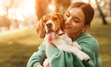 Baldes e potes para ração pets